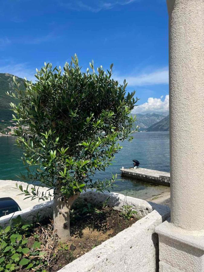 Sea Front 171 Apartment Kotor Exterior foto